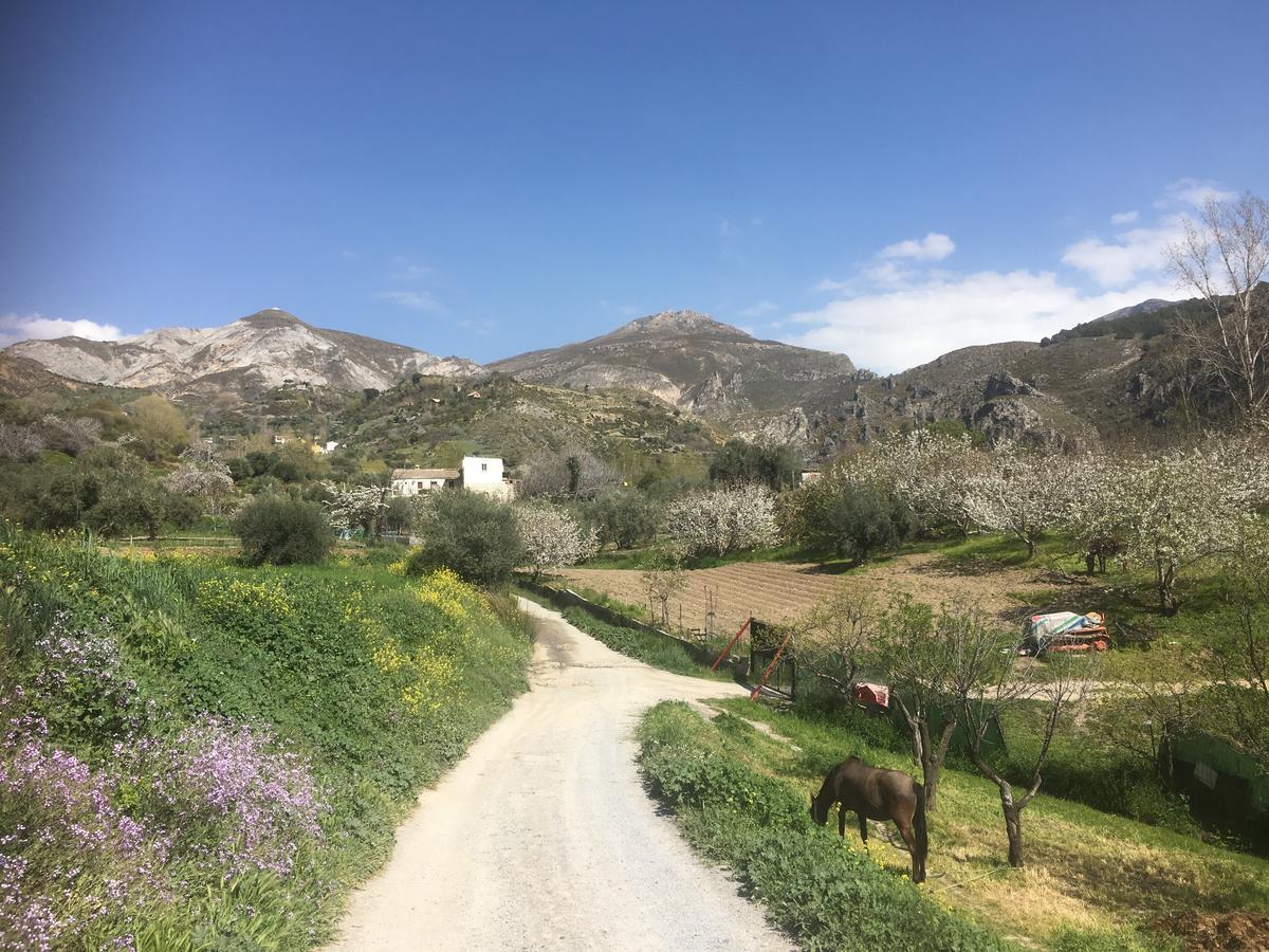 Hotel Rural Fuente La Teja Guejar-Sierra Bagian luar foto