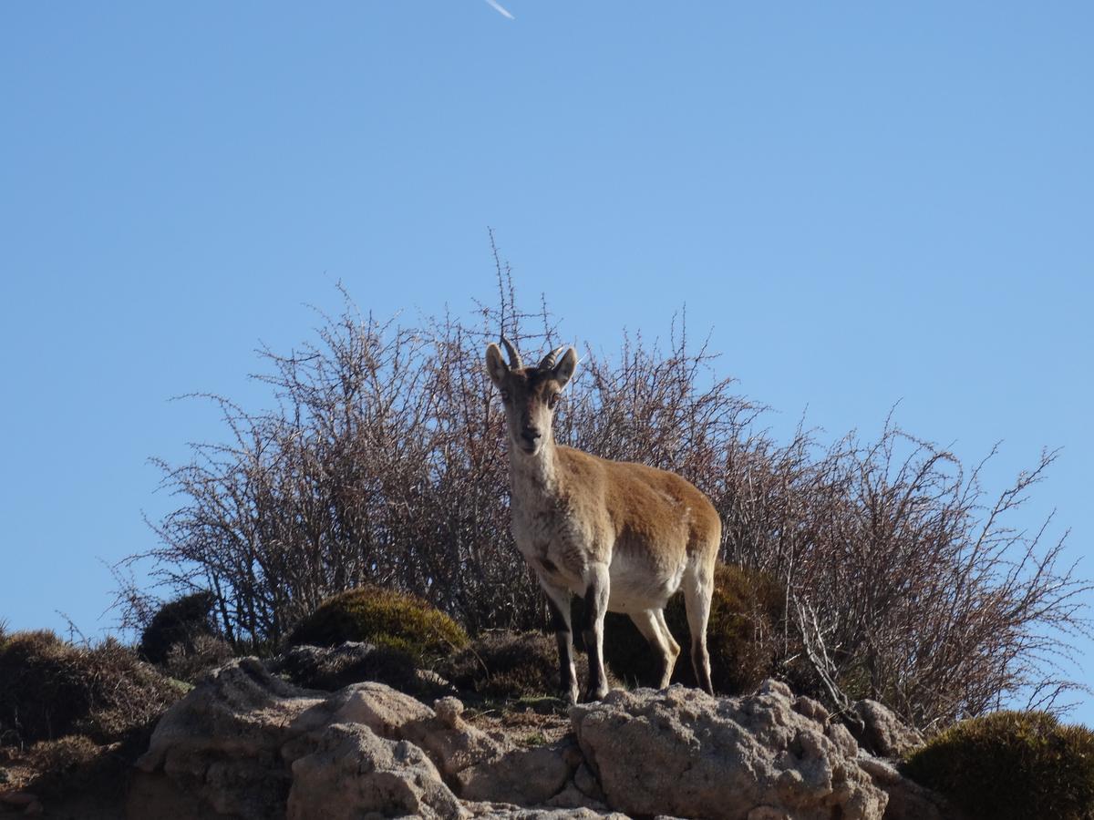 Hotel Rural Fuente La Teja Guejar-Sierra Bagian luar foto